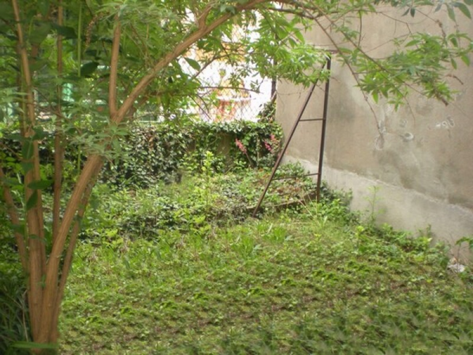 Image_, Appartements, Clermont-Ferrand, ref :7010